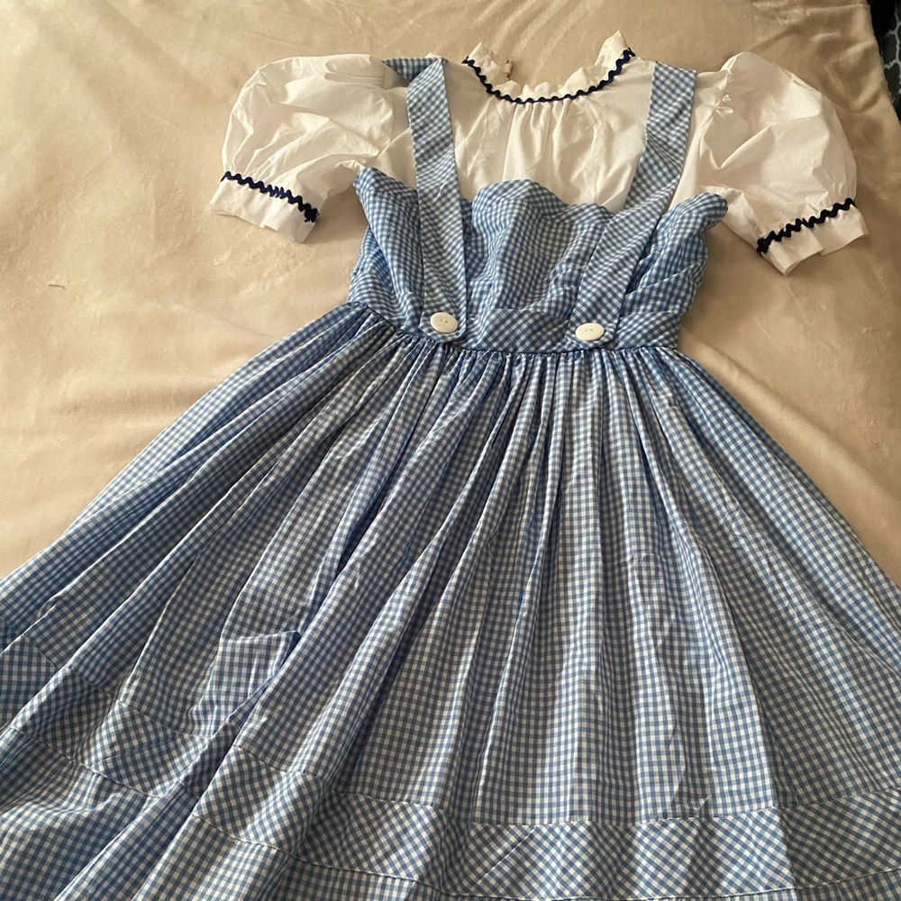 Dorothy Dress/Costume